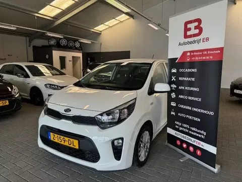 Kia Picanto 1.0 CVVT First Edition Luxe uitvoering-Navi-radar-camera-bleutooth