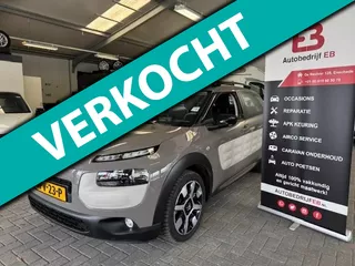 Citroen C4 Cactus 1.2 PureTech Business Plus camera-pdc-usb-cruise-