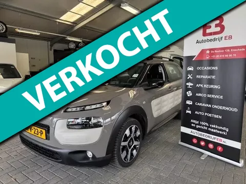 Citroen C4 Cactus 1.2 PureTech Business Plus camera-pdc-usb-cruise-